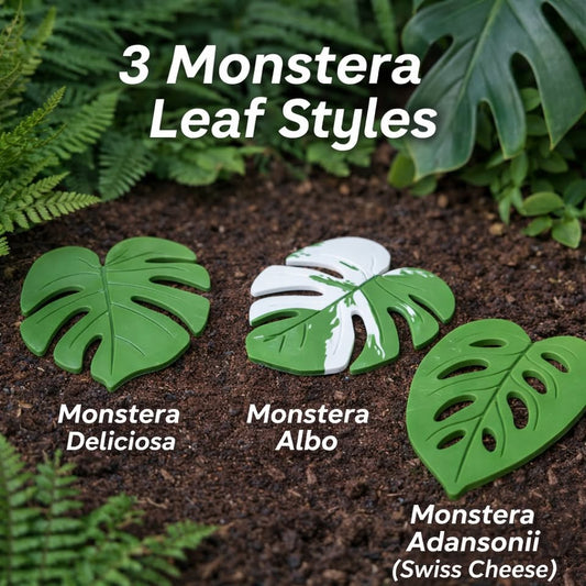 3D Printed Monstera Coaster Set