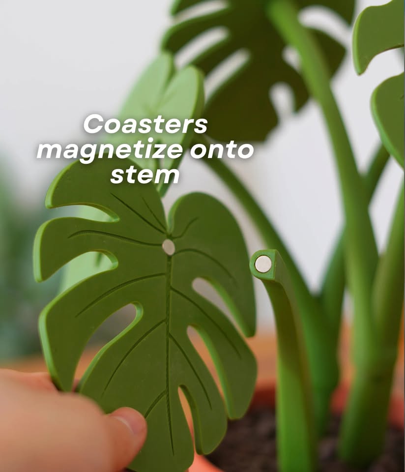 3D Printed Monstera Coaster Set