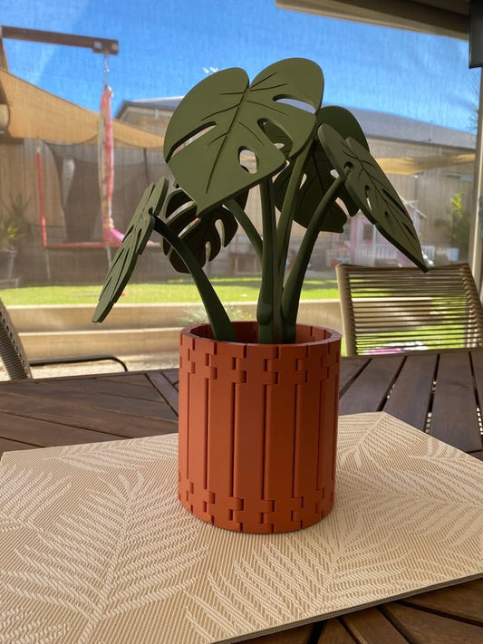 3D Printed Monstera Coaster Set